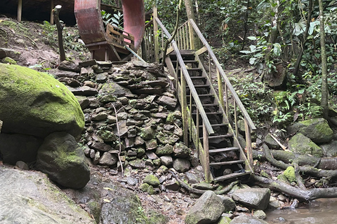 Minca: Coffee Farm and Hidden Waterfall Tour with Lunch