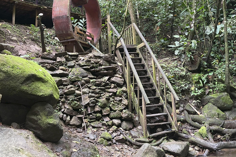 Minca: Coffee Farm and Hidden Waterfall Tour with Lunch