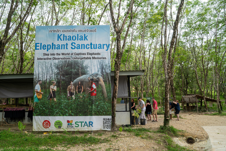 Khaolak Hightlight Jungle Trekking with Eco Guide Day Tour
