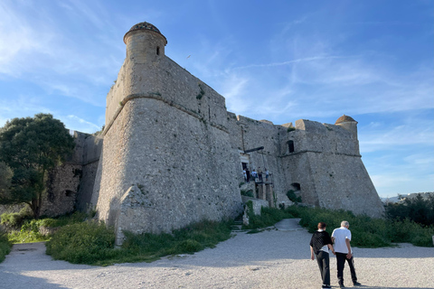 Excursão de meio dia de Nice a Mônaco tour particular