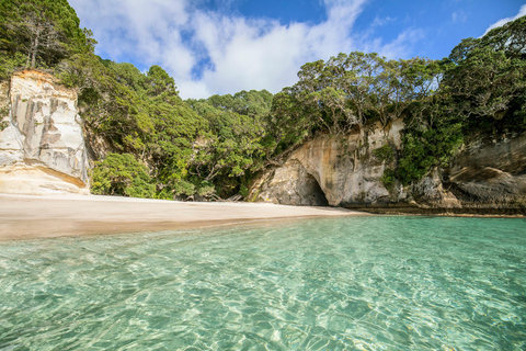 Excursion d&#039;une journée à CATHEDRAL COVE et HOT WATER BEACH au départ d&#039;Auckland