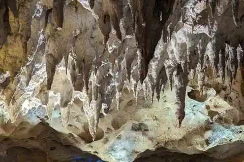 De Santo Domingo: Caverna das maravilhas, cavalos e praia
