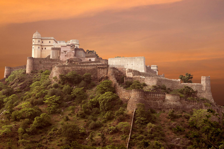 Visite privée d'une journée à Kumbhalgarh et Rankapur au départ d'Udaipur