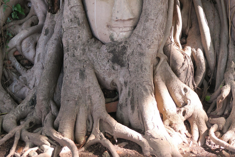 Bangkok: prywatna wycieczka do Ayutthaya, wpisanej na listę dziedzictwa UNESCOBangkok: prywatna wycieczka śladami dziedzictwa kulturowego Ayutthaya