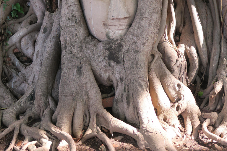 Bangkok: prywatna wycieczka do Ayutthaya, wpisanej na listę dziedzictwa UNESCOBangkok: prywatna wycieczka śladami dziedzictwa kulturowego Ayutthaya