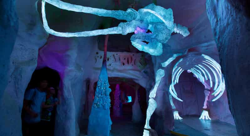 Santa Fe: Meow Wolf's House of Eternal Return Ticket