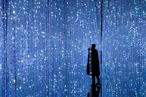 Tokyo: TeamLab Borderless & Roppongi Art Architecture Tour