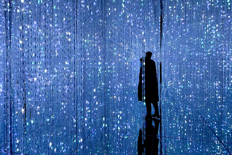 Tokyo: TeamLab Borderless & Roppongi Art Architecture Tour