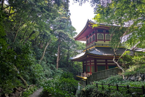 Nara: Mt. Ikoma Guided Hiking Tour with Cable Car and Views