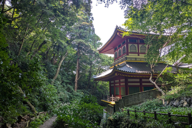 Nara: Mt. Ikoma Guided Hiking Tour with Cable Car and Views