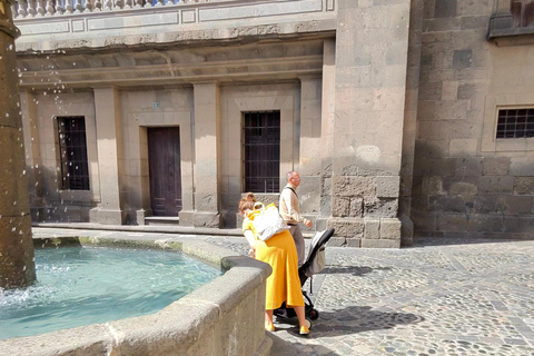 Private Bandama Caldera Volcano, Botanic Garden & Old Town