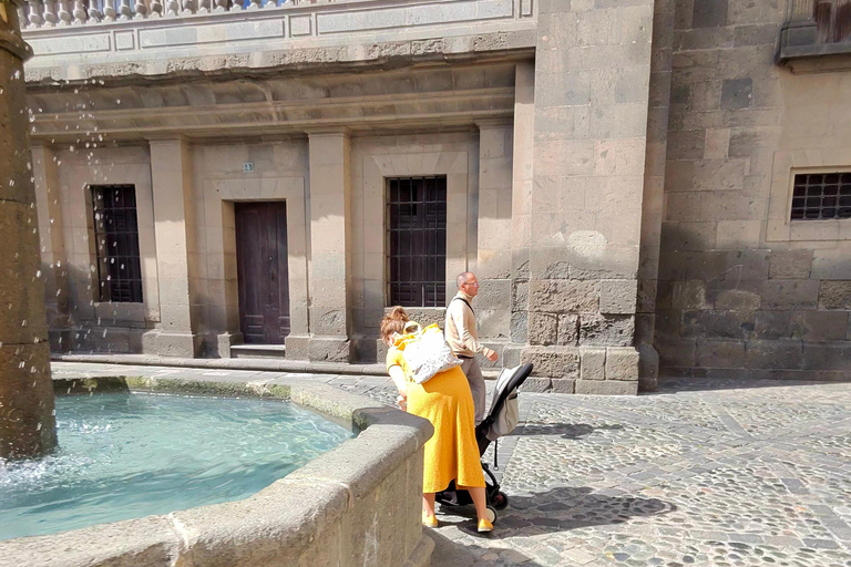 Private Bandama Caldera Volcano, Botanic Garden & Old Town