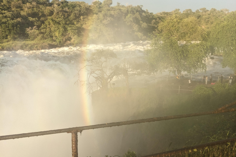 Uganda: Parque Nacional das Cataratas de Murchison