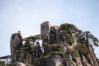 Huangshan: la voie de l'essence de Huangshan Backside Day Trip - Housity