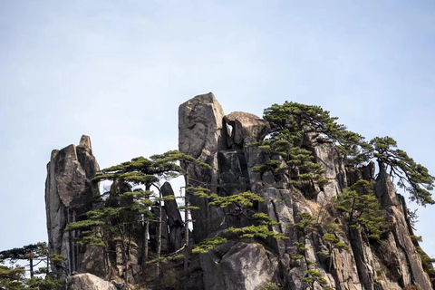 Huangshan: Mountain Top Day Trip with Cable Car and Pickup