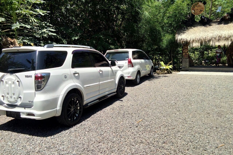 Bali: Wypożyczalnia samochodów z własnym napędem4 miejsca: 4-dniowy wynajem samochodu z dostawą w strefie B