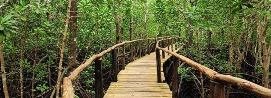 The Rock, la forêt de Jozani, la grotte de Kuza et la plage de Paje