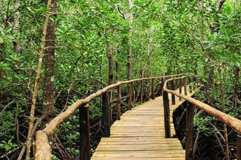 ZANZIBAR: Jozani forest and Kuza cave