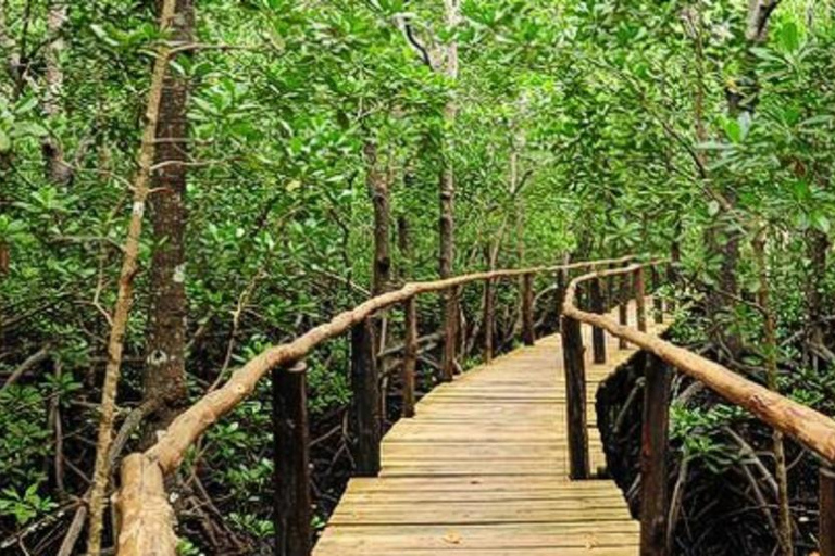 ZANZIBAR : la forêt de Jozani et la grotte de KuzaZANZIBAR : Forêt de Jozani et grotte de Kuza
