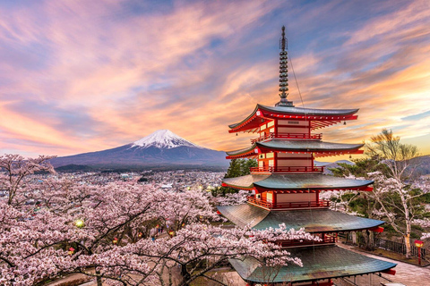 HND Airport Private Transfer to/from Tokyo City Center Arrival: HND Airport to Hotel in Tokyo City Center