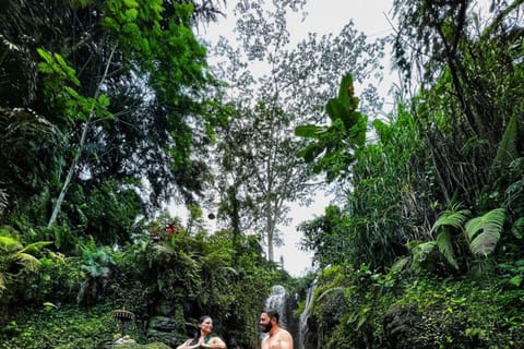Bali: Waterfall Purification Ritual, Temple & Villages Tour