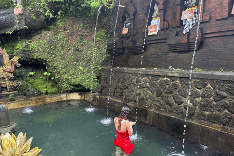 Bali: Taman Pecampuhan Sala Temple Melukat Ceremony