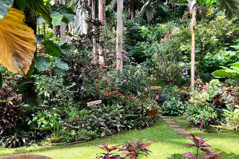 Barbados: Hunte's Gardens Transport and Entry Ticket