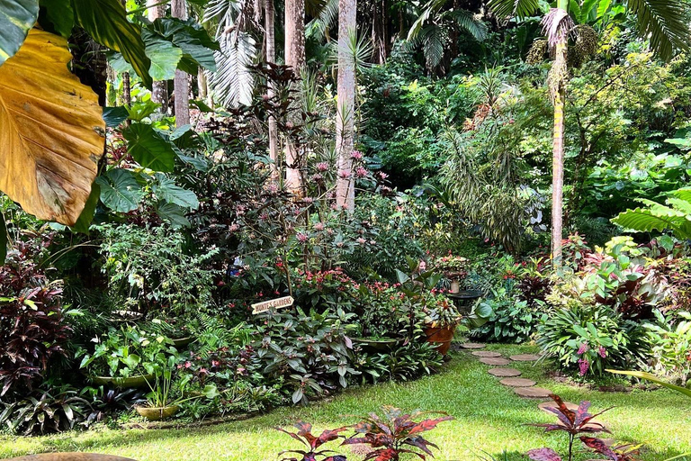 Barbados: Hunte's Gardens Transport and Entry Ticket