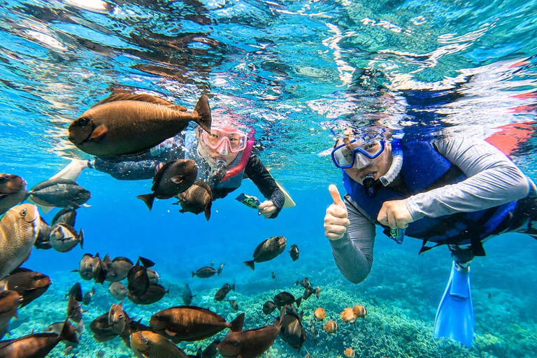 Nusa Lembongan Manta Snorkeling Trip, Mangrove & Island Tour Sharing 3 Spots Snorkeling & Mangrove Advanture