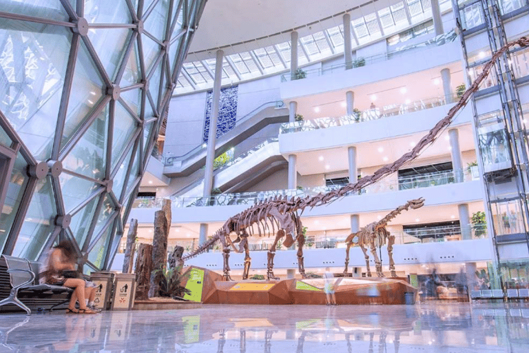 Shanghai : Entrée au musée d&#039;histoire naturelle