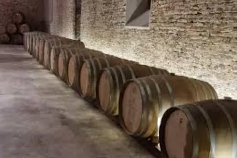 Cerros de San Juan: tour por la bodega más antigua con almuerzo y traslado