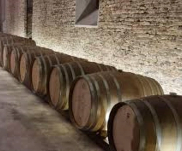 Cerros de San Juan: tour por la bodega más antigua con almuerzo y traslado