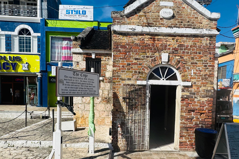 Visite de la ville de Montego BayVisite guidée de Montego Bay