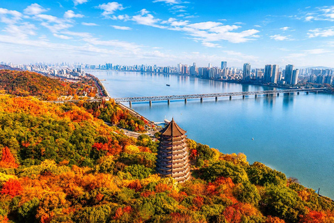 Hangzhou: Private Southern Song Dynasty Day Tour Private Tour for 5 People