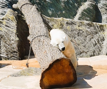Audioguide des Prager Zoos mit E-Ticket