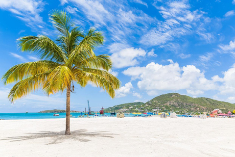 Halbtägige private Tour in St. Maarten vom Hafen Philipsburg