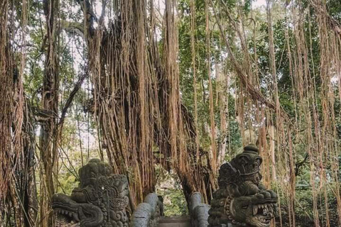 Bali: Erlebe die Highlights von Ubud mit einem lokalen GuideOptionale Preise nur für Privatwagen und Fahrer cum Guide