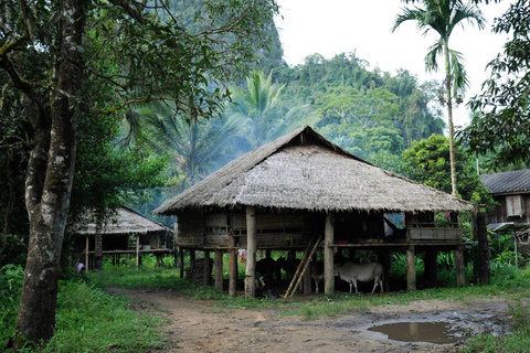 Caverna de Chiang Dao e 5 vilarejos da tribo das colinas