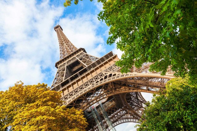 Parigi: Accesso alla Torre Eiffel e crociera sulla Senna