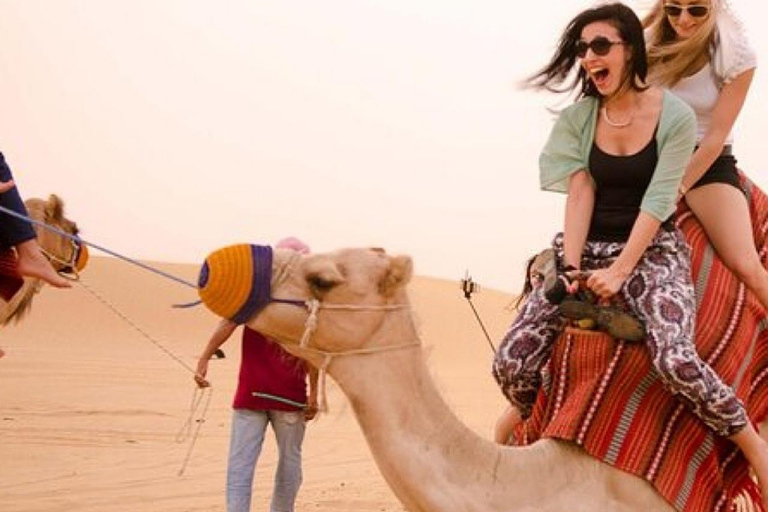 Marrakech: Agafay Desert Quad Bike, Camel Ride, Pool & Lunch Desert Agafay : Quad Biking, Camel Ride, Lunch & Pool