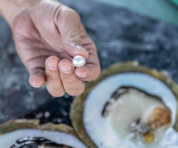 Broome: Paspaley Pearl Farm: popołudniowa wycieczka z transferem
