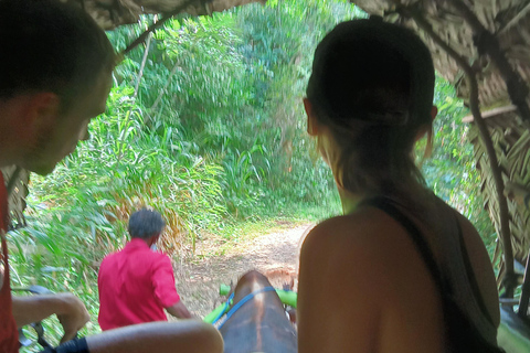 From Kandy: Sigiriya Rock Fortress & Dambulla Day Trip