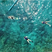 Bali: Blue Lagoon Snorkeling with Optional Sightseeing Tour | GetYourGuide