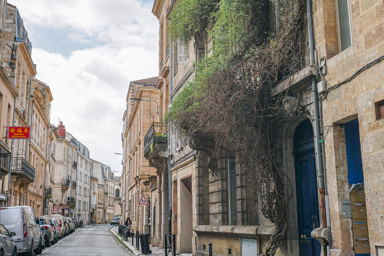 Bordeaux: Small Group Historical & Gourmet Guided Visit