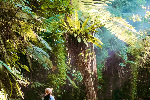 Ubud: foresta delle scimmie, tempio, terrazze di riso, cascata nascostaTour privati