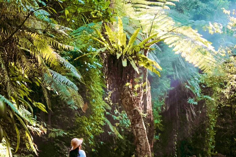 Ubud: foresta delle scimmie, tempio, terrazze di riso, cascata nascostaTour privati