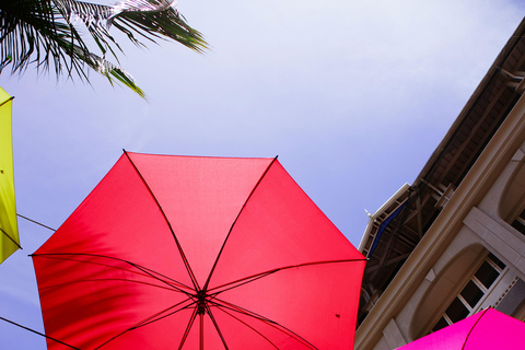 Mauritius: Snorkeling with Turtles & Port Louis Street Food