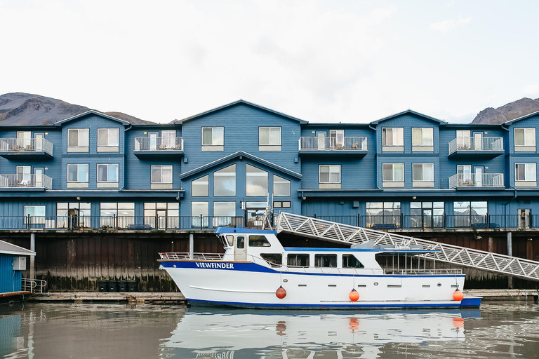 Seward: Kenai Fjords National Park Glacier Cruise w/ Lunch 8:00 AM Departure