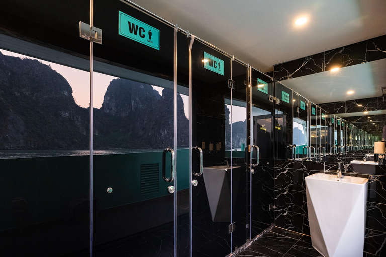 From Hanoi: Halong Bay Day Cruise with Kayak, Cave & Swim Halong Bay Day Cruise from Halong Port (No Transfer)