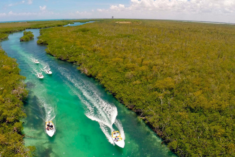 Cancun: Speedboat, Snorkeling, Dolphin Beach & Parasailing